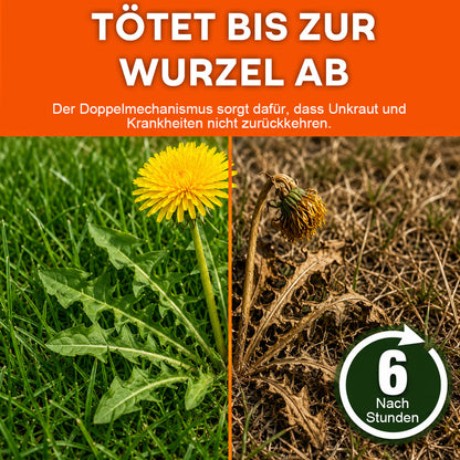 Healrize® 🍂2-𝖎𝖓-1 Maximale Herbizid-Wirkunge: Schnell wirkende Ergebnisse bei glyphosatresistenten Unkräutern