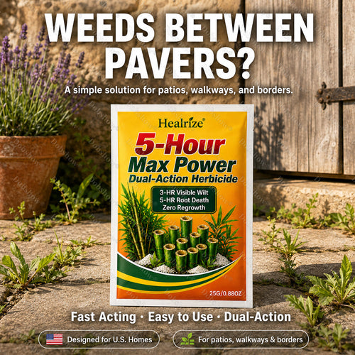 🏆20K Returning Customers💥Healrize® Newly Upgraded 5-Hour Max Power Broadcast Herbicide Granules🌿 — Powerful Weed Control for Orchards, Tough Weeds & Uncultivated Land