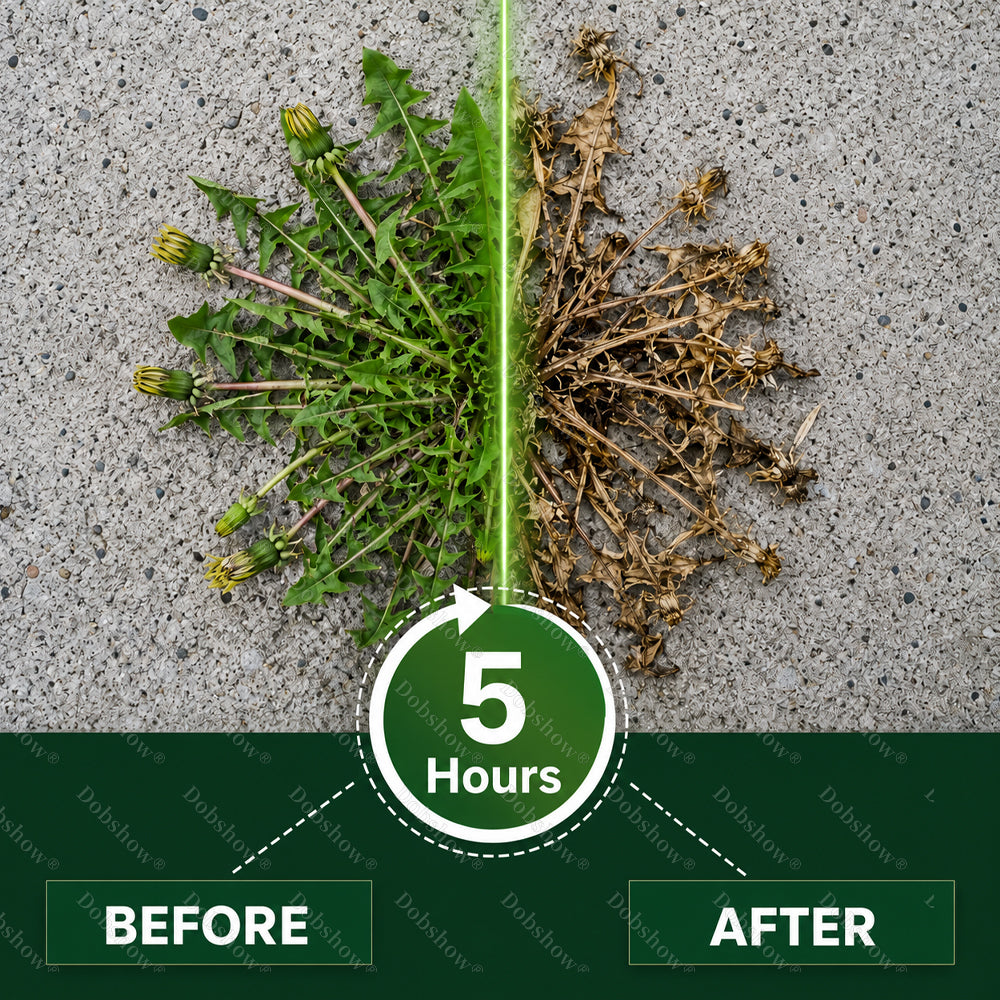🏆20K Returning Customers💥Healrize® Newly Upgraded 5-Hour Max Power Broadcast Herbicide Granules🌿 — Powerful Weed Control for Orchards, Tough Weeds & Uncultivated Land