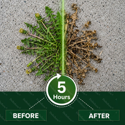 🏆20K Returning Customers💥Healrize® Newly Upgraded 5-Hour Max Power Broadcast Herbicide Granules🌿 — Powerful Weed Control for Orchards, Tough Weeds & Uncultivated Land